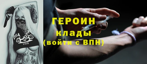 сатива Туринск