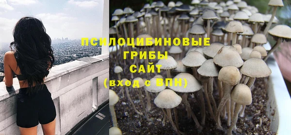 2c-b Видное