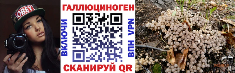 Галлюциногенные грибы Psilocybine cubensis  где можно купить   Покровск 